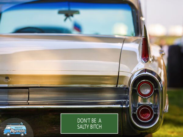 Bumper_Car_Stickers_Designs_Dont't_Be_A_Salty_Bitch